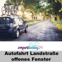Autofahrt Landstraße offenes Fenster