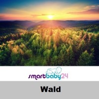 Wald