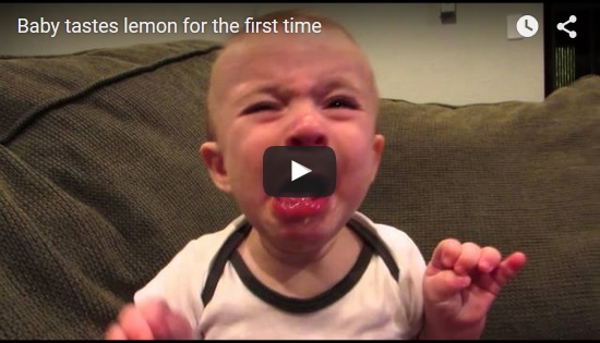 Baby isst zum ersten Mal eine Zitrone